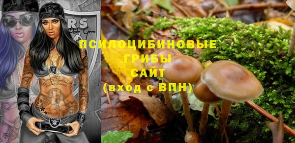 круглые Абаза