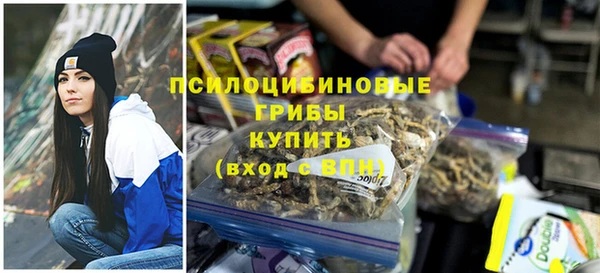 гидра Абинск